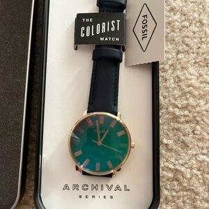 The colorist fossil watch